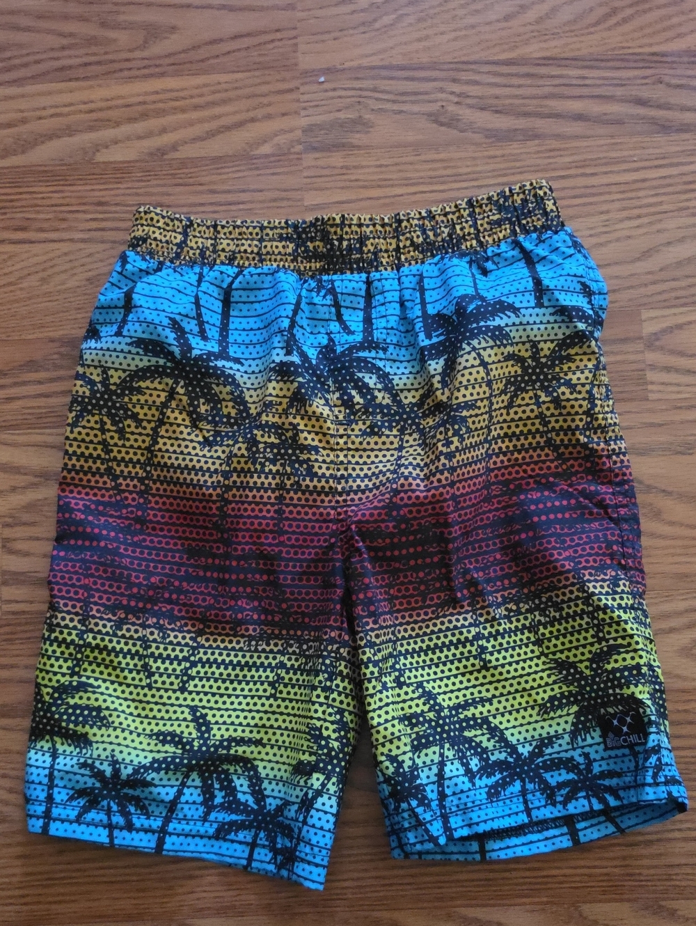 Big Chill Blue Yellow Red Palm Print Boys Swim Trunks